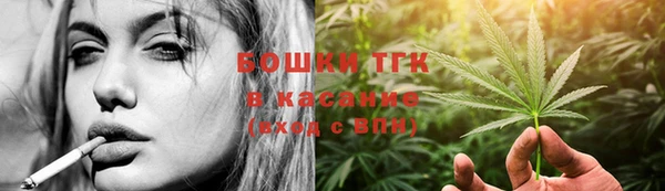 шишки Абаза