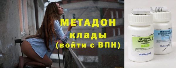 шишки Абаза