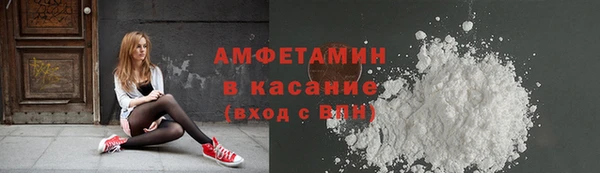 шишки Абаза