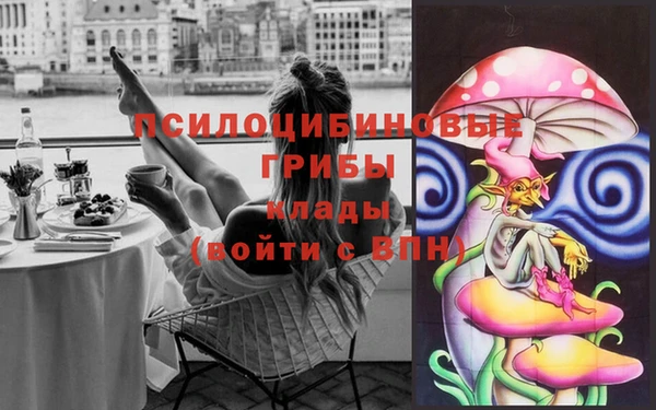 PSILOCYBIN Алзамай