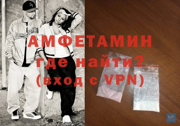 шишки Абаза