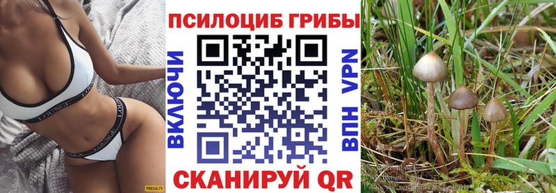 mega ССЫЛКА  Навашино  Галлюциногенные грибы Psilocybe 